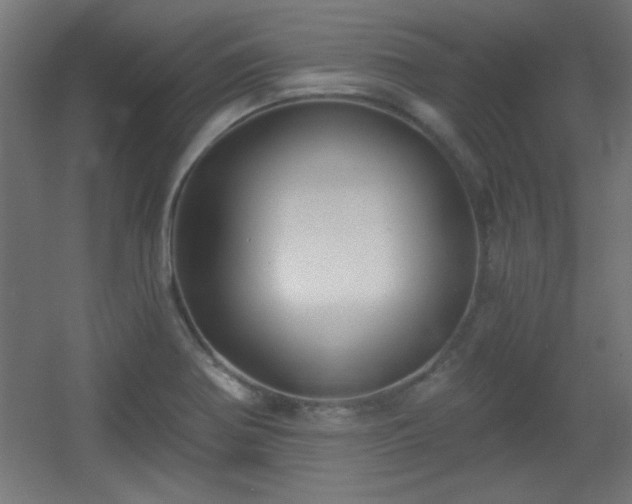 X0000055991370200508221245