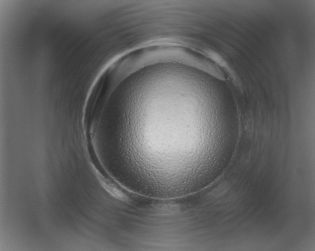 X0000055991372200508221245