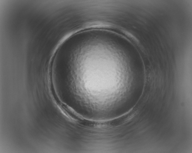 X0000055991375200508221245