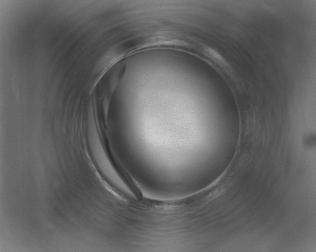 X0000055991377200508221245