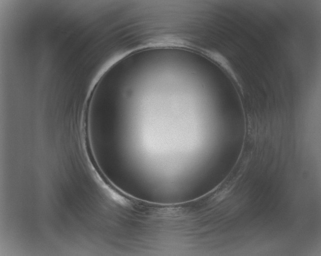 X0000055991387200508221245