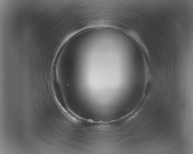 X0000055991388200508221245