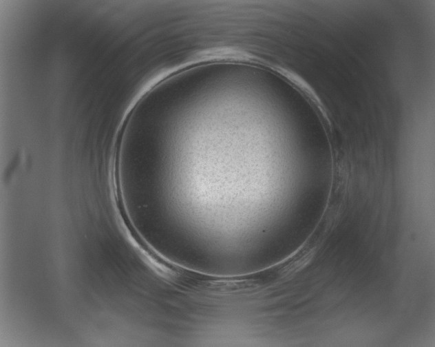X0000055991391200508221245