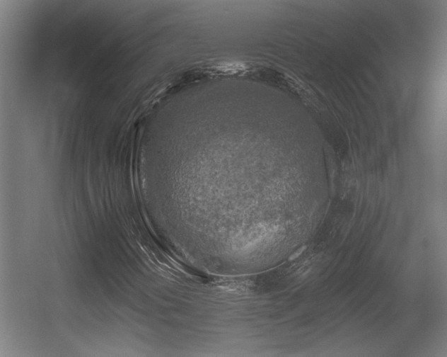 X0000055991394200508221244