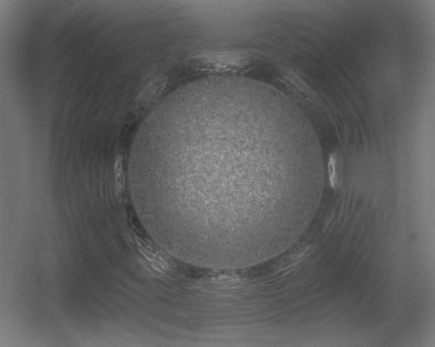 X0000055991395200508221244