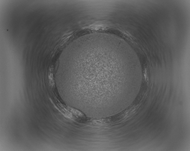 X0000055991396200508221244