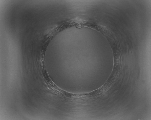 X0000055991397200508221244