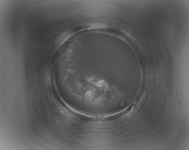 X0000055991401200508221244