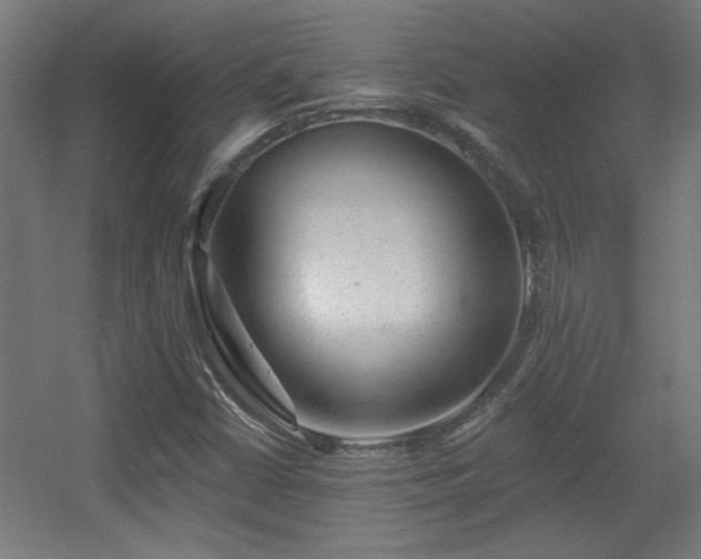 X0000055991402200508221244