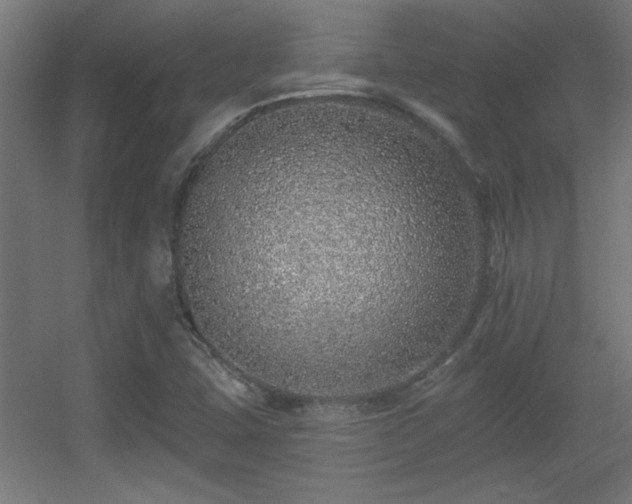 X0000055991407200508221244