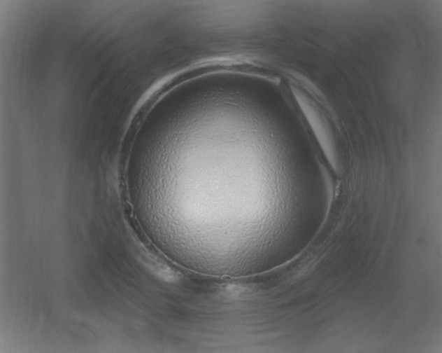 X0000055991412200508221244