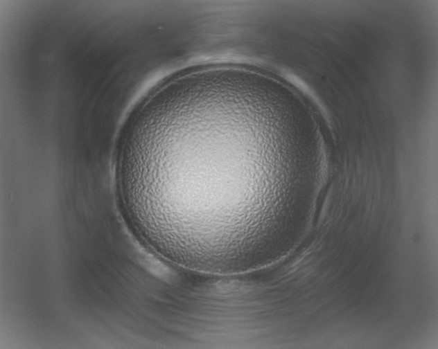 X0000055991416200508221245
