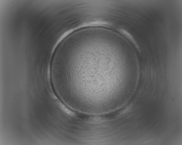 X0000055991420200508221245