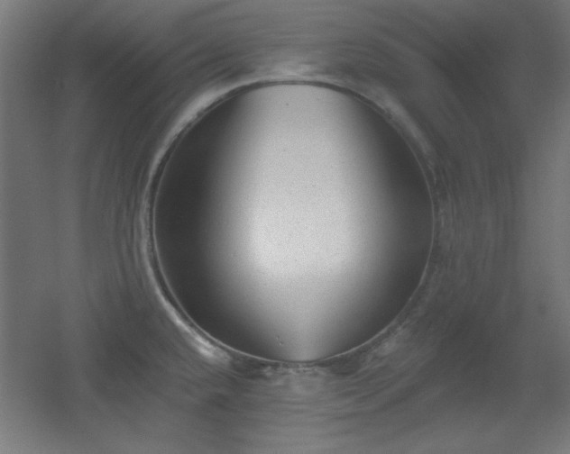 X0000055991432200508221245