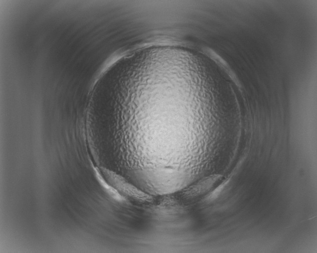 X0000055991433200508221245