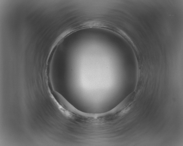 X0000055991434200508221245