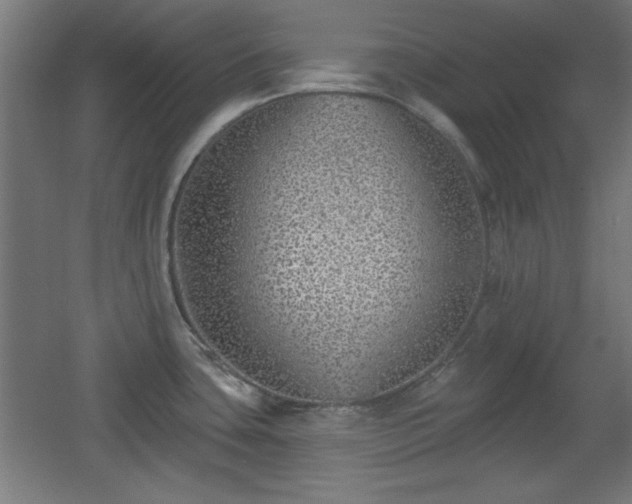 X0000055991435200508221245