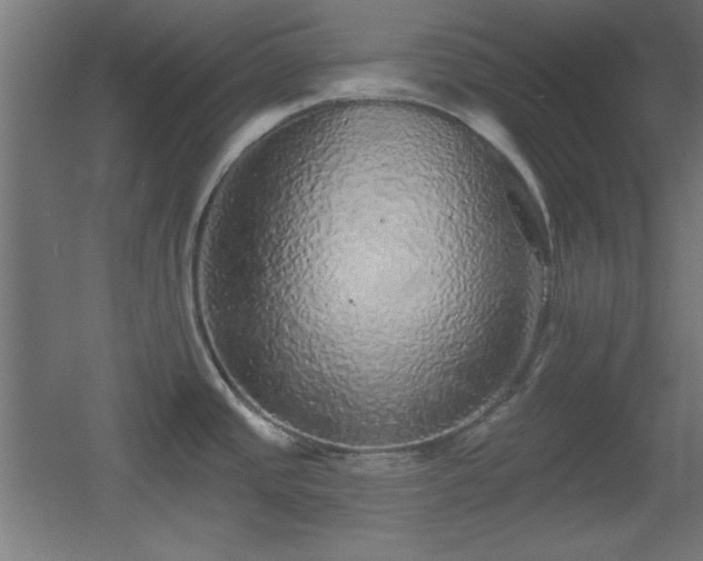 X0000055991437200508221245