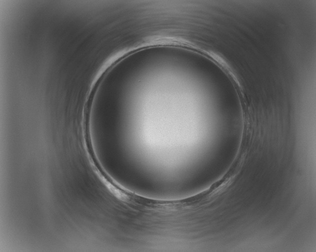 X0000055991438200508221245