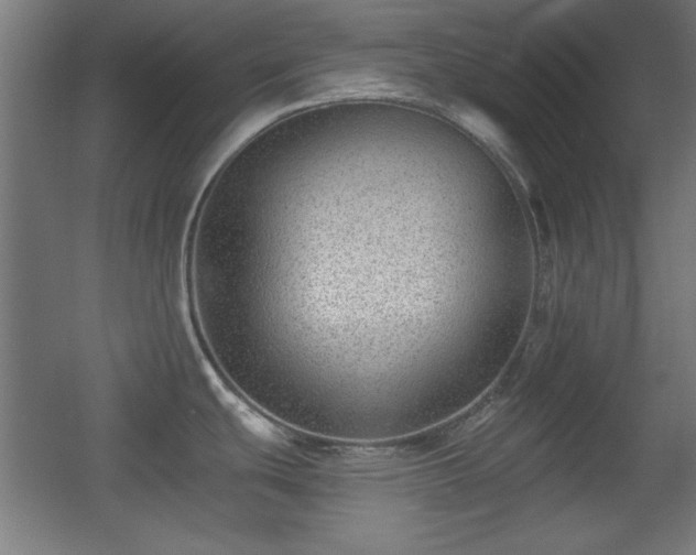 X0000055991439200508221245
