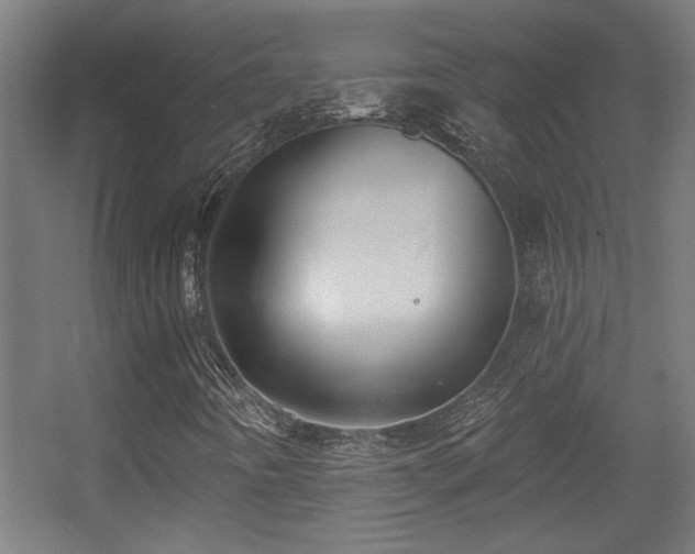 X0000055991442200508221244
