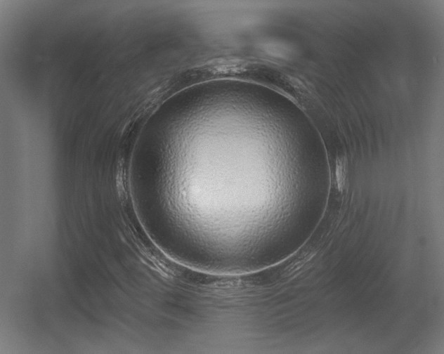 X0000055991444200508221244