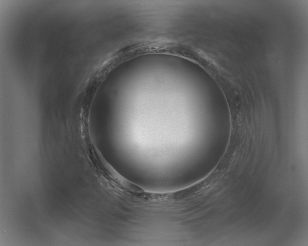 X0000055991447200508221244