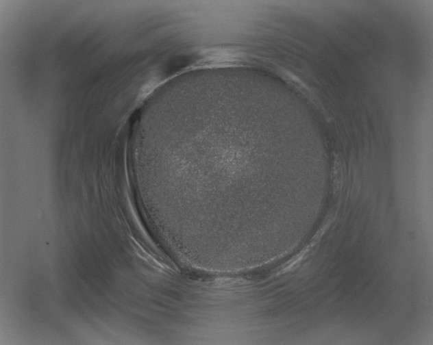 X0000055991449200508221244