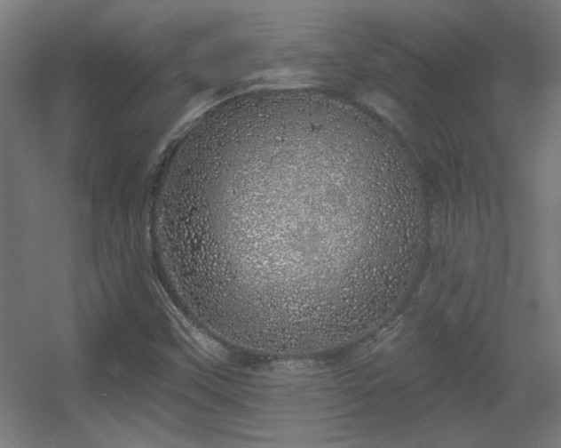 X0000055991451200508221244