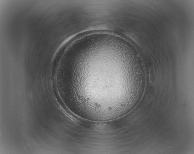 X0000055991452200508221244