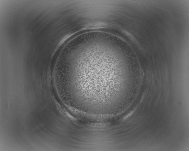 X0000055991457200508221244