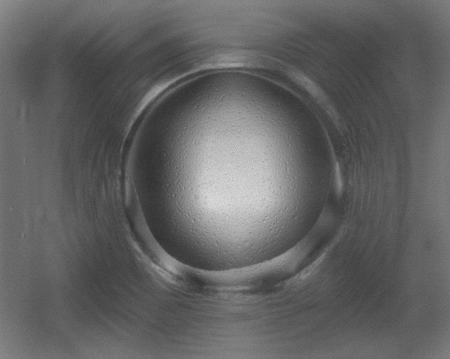 X0000055991465200508221244
