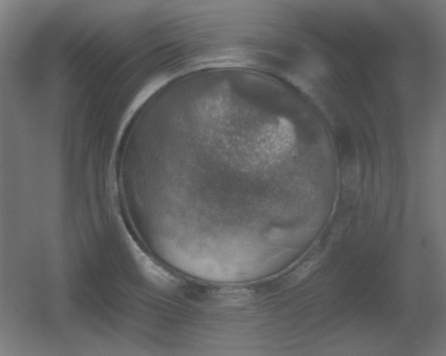 X0000055991466200508221244