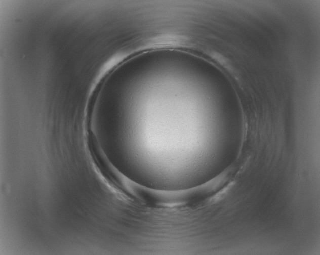 X0000055991469200508221244