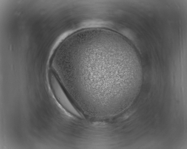X0000055991472200508221244