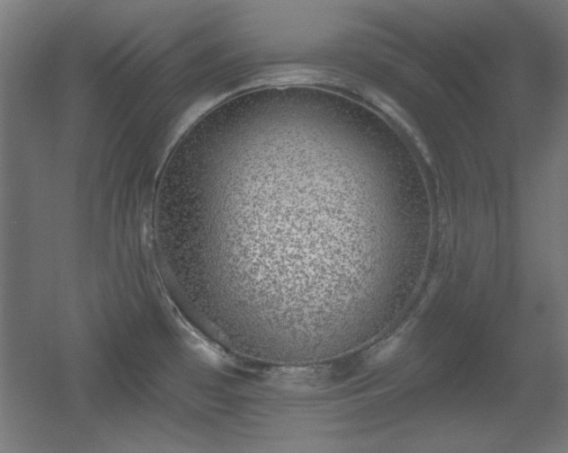 X0000055991481200508221243