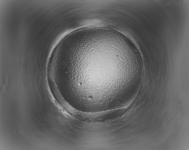 X0000055991488200508221243