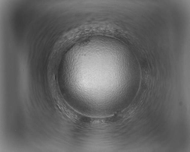 X0000055991489200508221242
