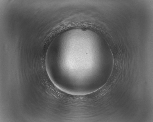 X0000055991490200508221242