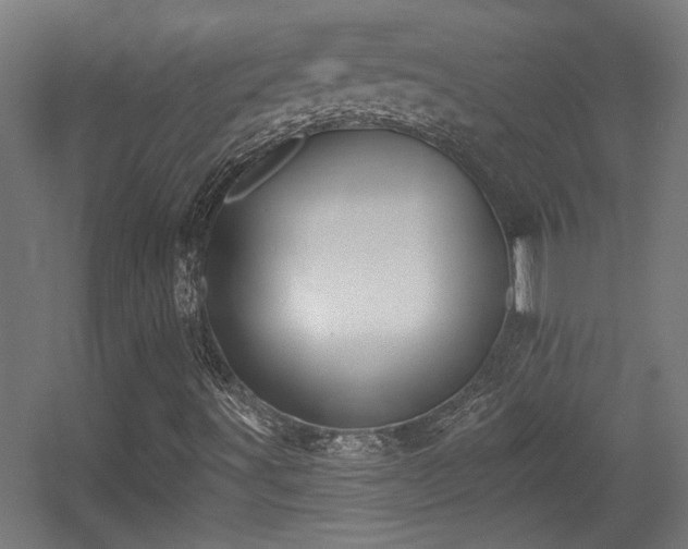 X0000055991491200508221243