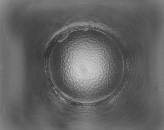 X0000055991494200508221243