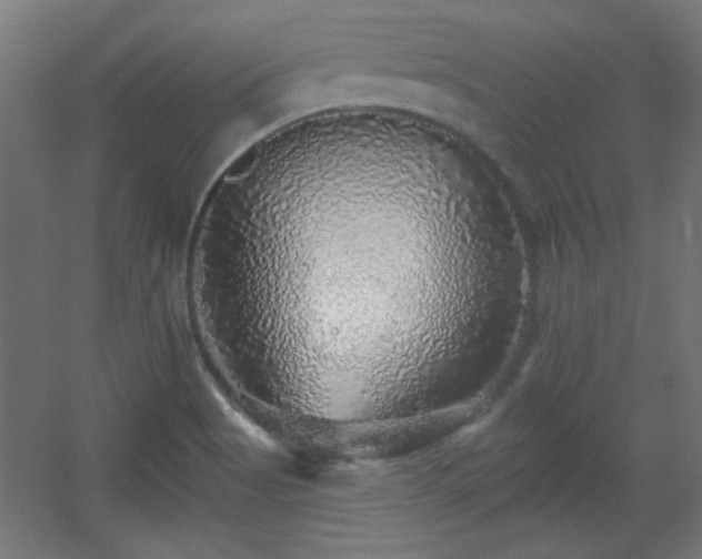 X0000055991513200508221243