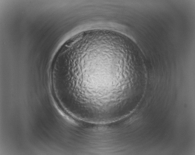 X0000055991515200508221243