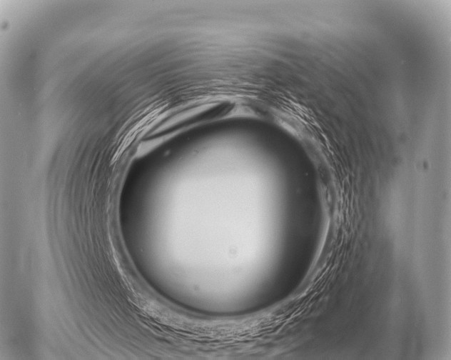 X0000055990001200508261736