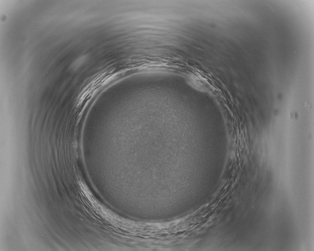 X0000055990002200508261736