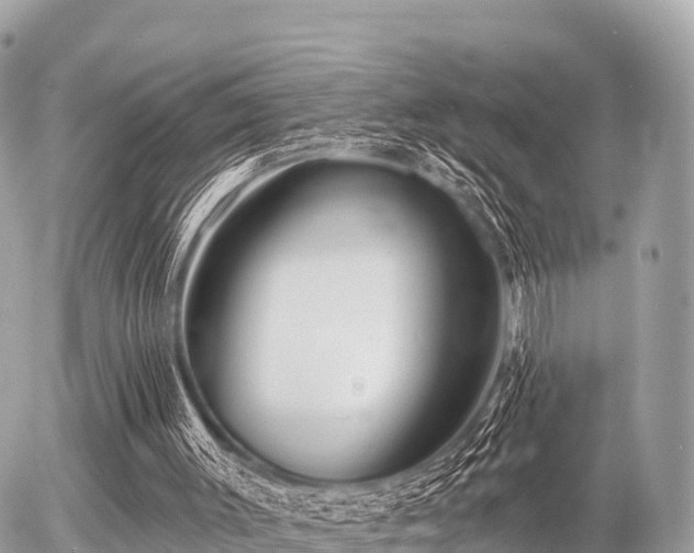 X0000055990003200508261736