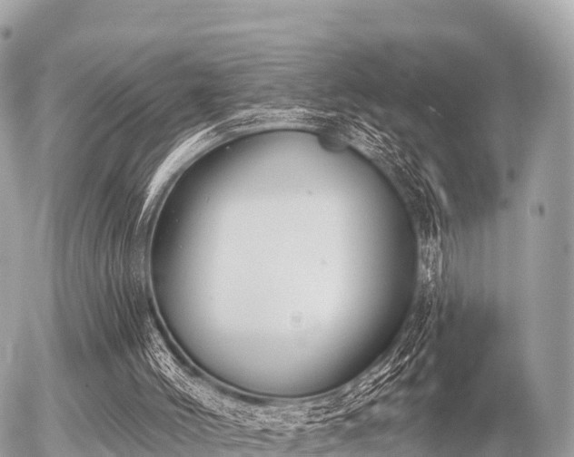 X0000055990004200508261736