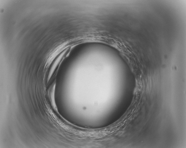 X0000055990005200508261736