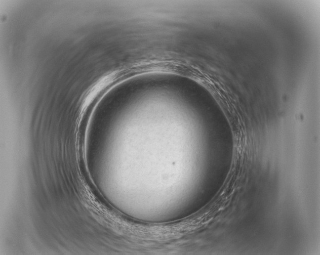 X0000055990006200508261736