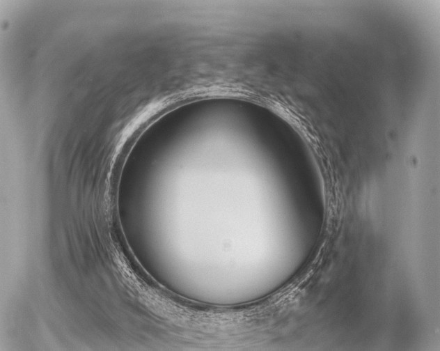 X0000055990008200508261736